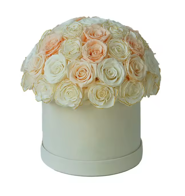 hug bucket hug bucket