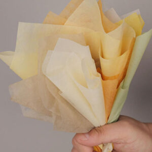 green tshirt color with cap